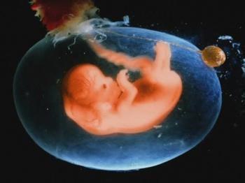 胎宝宝缺氧的3大症状