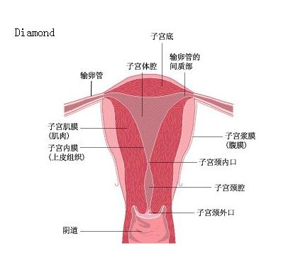 如何治疗子宫内膜增厚