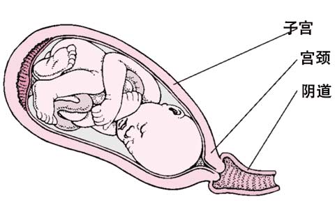 难产到底是怎么回事?